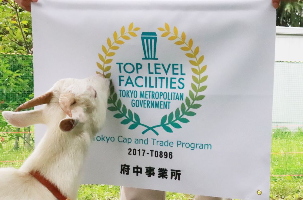 ѡTOP LEVELҵҿ710ĶĴӭҵʵԾٴ룡